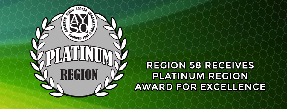 Platinum Region Award for Excellence